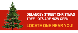 Christmas Tree Lots Now Open